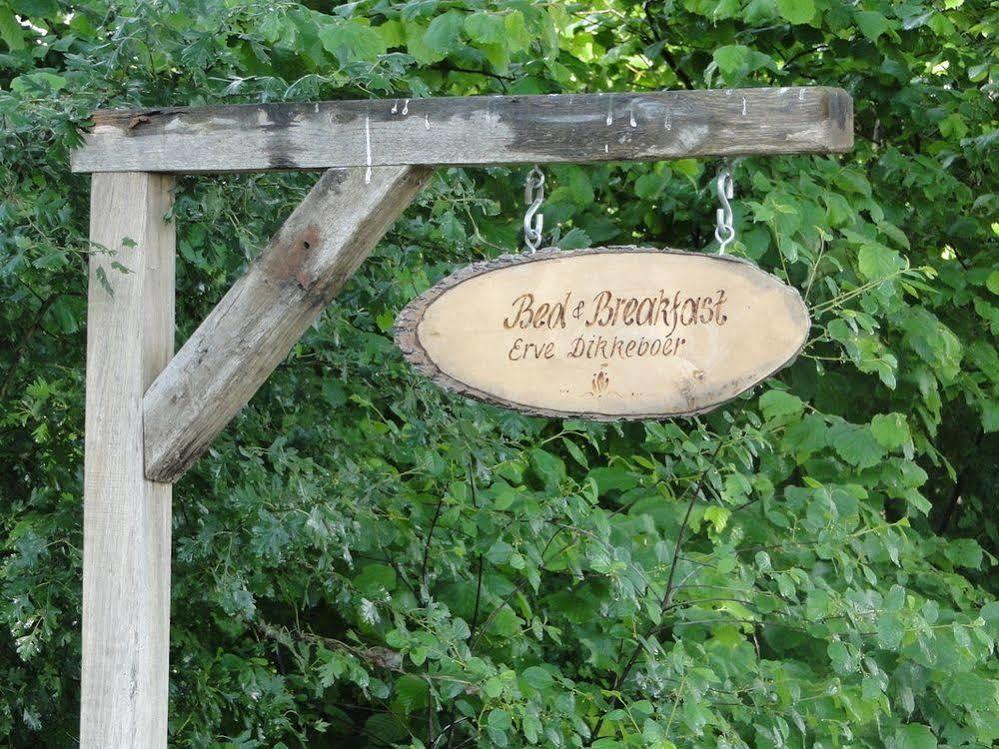 Erve Dikkeboer Bed & Breakfast Bathmen ภายนอก รูปภาพ